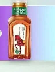 东方树叶